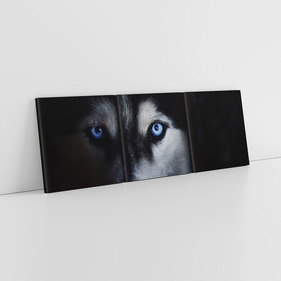 Obraz na płótnie 150x50 - Wilk i husky: siła przyjaźni - wilk, husky