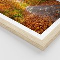 Plakat w ramie 40x50 - Kolorowe drzewa na ścieżce jesieni - las, jesień - rama drewno