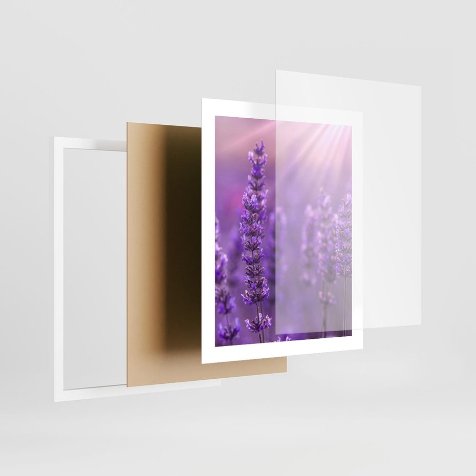 Plakat w ramie 40x50 - Fioletowa harmonia lawendy - lawenda, fiolet - rama biała