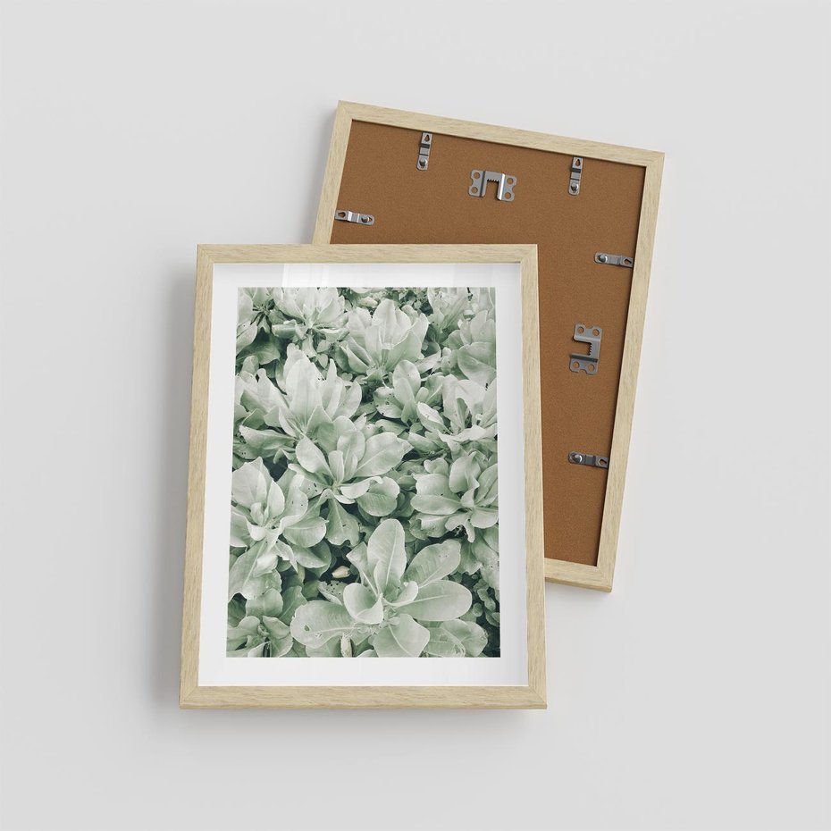 Plakat w ramie 30x40 - Liście w Jasnych Odcieniach Zielonego - liście, jasna zieleń fotografia - rama drewno