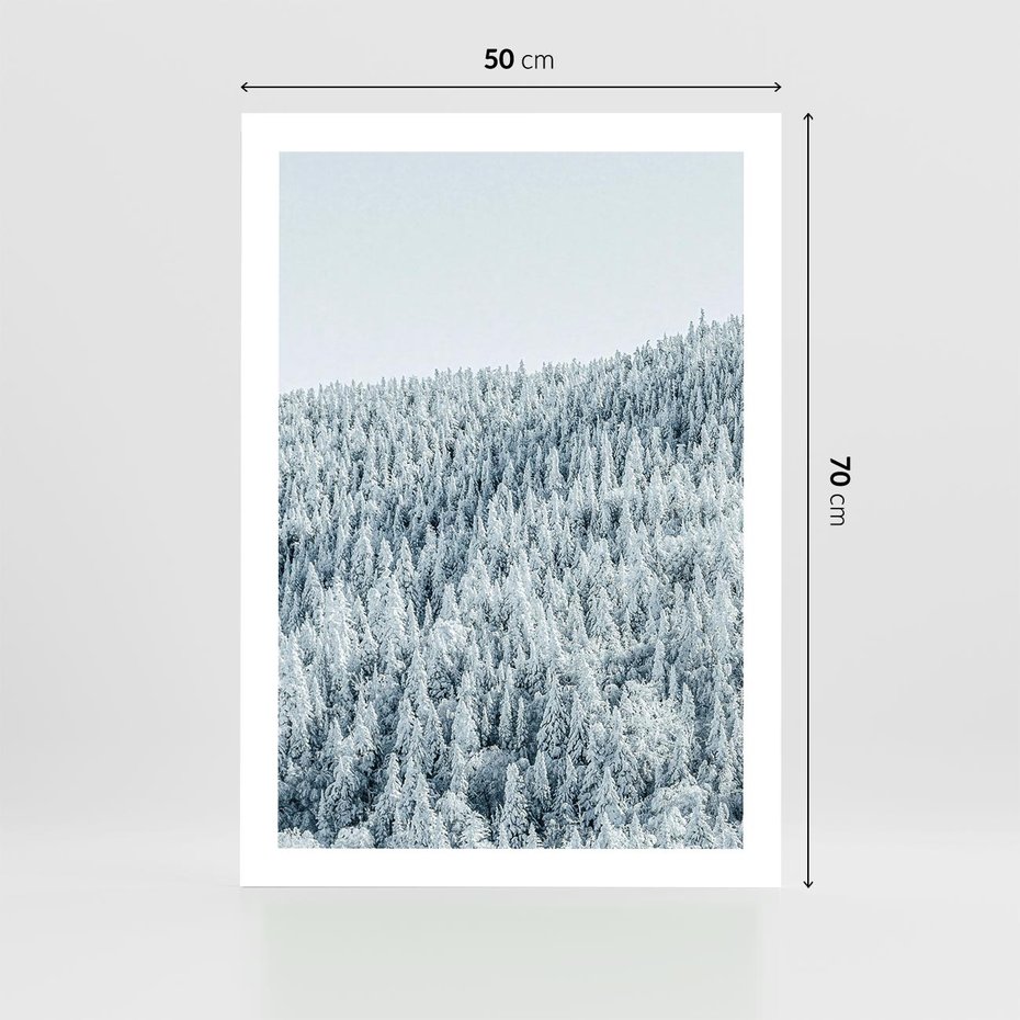 Plakat bez ramy 50x70 - Cicha Zima - las, zima