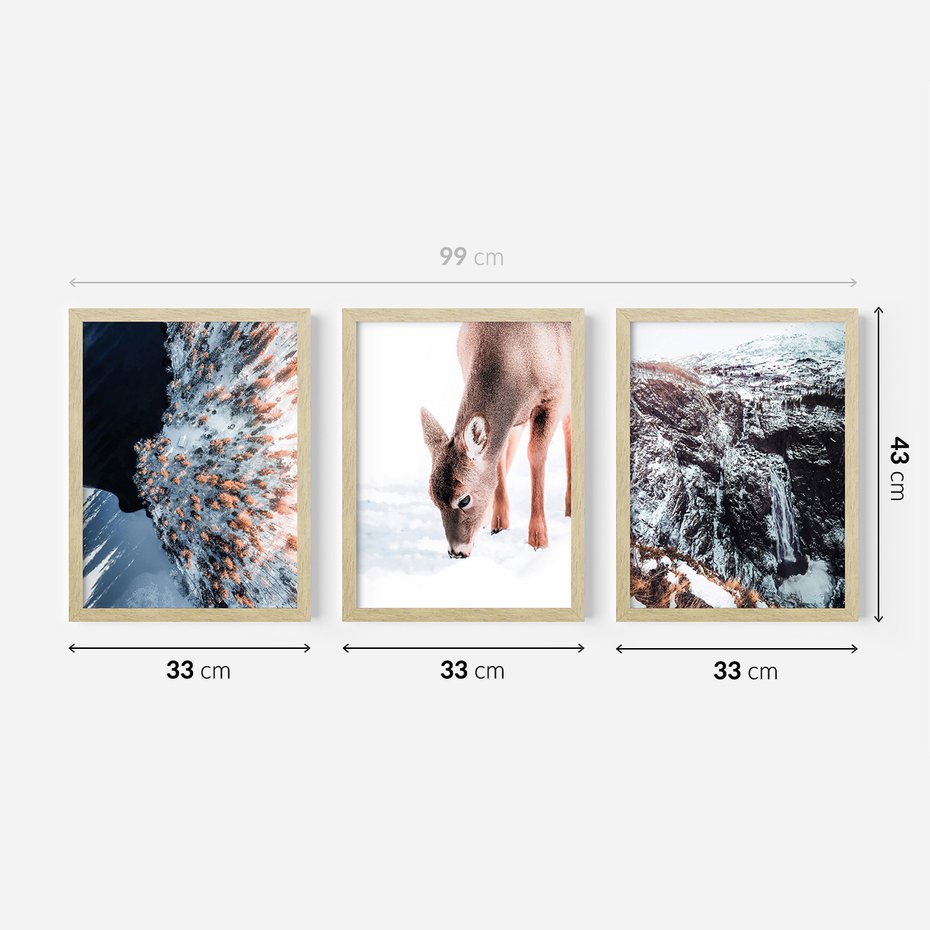 Zestaw obrazy w ramie 30x40 galeria - Sarna, zima, w, górach - rama drewno