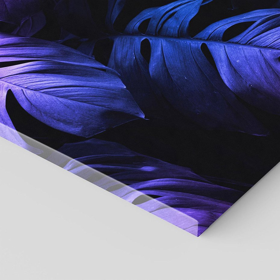 Obraz na płótnie 40x40 - Mroczna Magia Dżungli - mroczna grafika, fioletowe liście monstery na czarnym tle