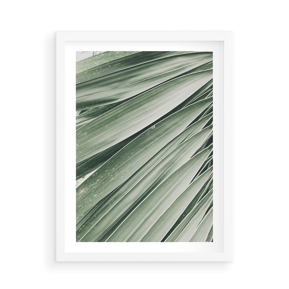 Plakat w ramie 50x70 - Tropikalna Oaza - zielony liść palmy, zieleń - rama biała