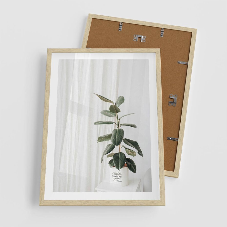 Plakat w ramie 50x70 - Kwiat w Bieli - kwiat w doniczce, białe wnętrze - rama drewno