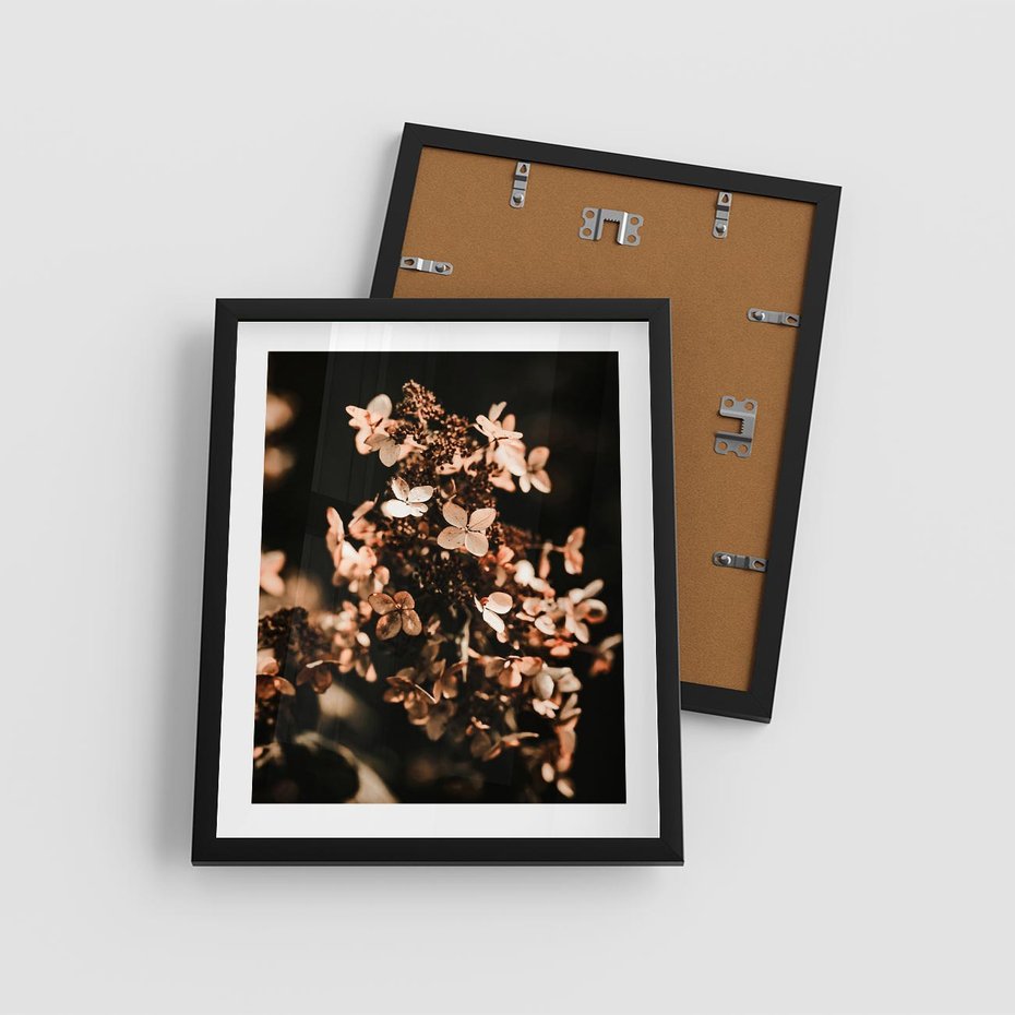 Plakat w ramie 40x50 - Hortensja - Suchy Kwiat w Sztuce - hortensja, suchy kwiat - rama czarna
