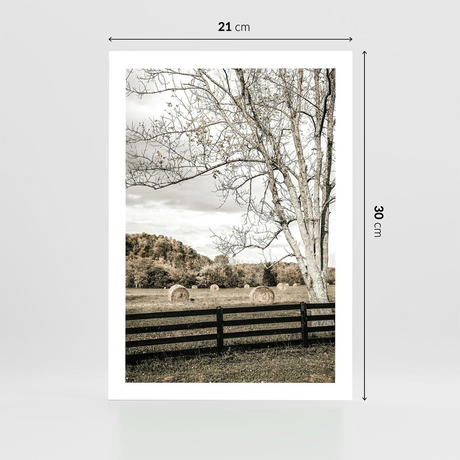 Plakat bez ramy 21x30 - Drzewa i Snopki Siana - farma, drzewa