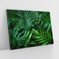 Obraz na płótnie 120x80 - Monstera Liście Fantazja - monstera, liście