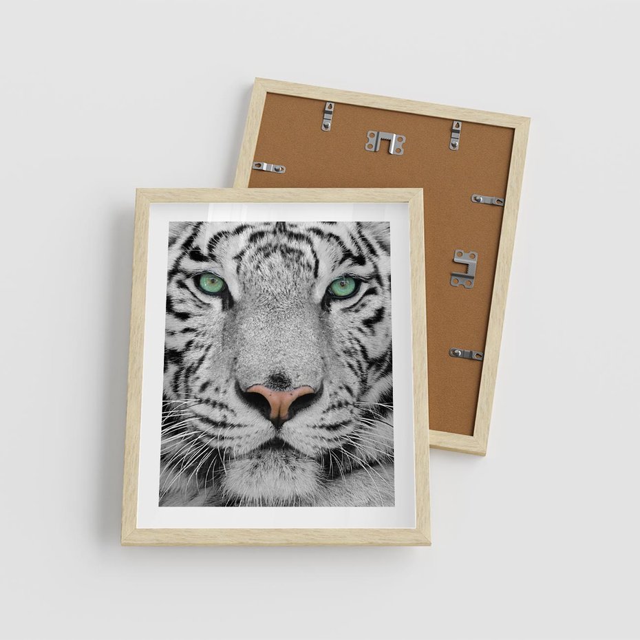 Plakat w ramie 40x50 - Magia Białego Tygrysa - biały, tygrys - rama drewno