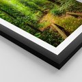 Plakat w ramie 30x40 - Współistnienie z naturą - drzewa, las - rama czarna