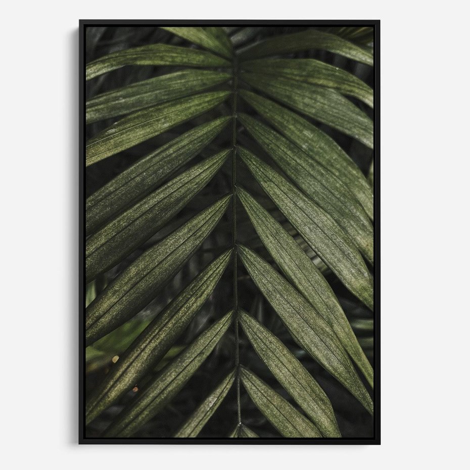 Obraz w ramie 70x100 - W Liściach Ukryte - zdjęcie, fotografia - rama czarna