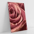 Obraz na płótnie 70x100 - Romantyczna Róż - róża, kwiat