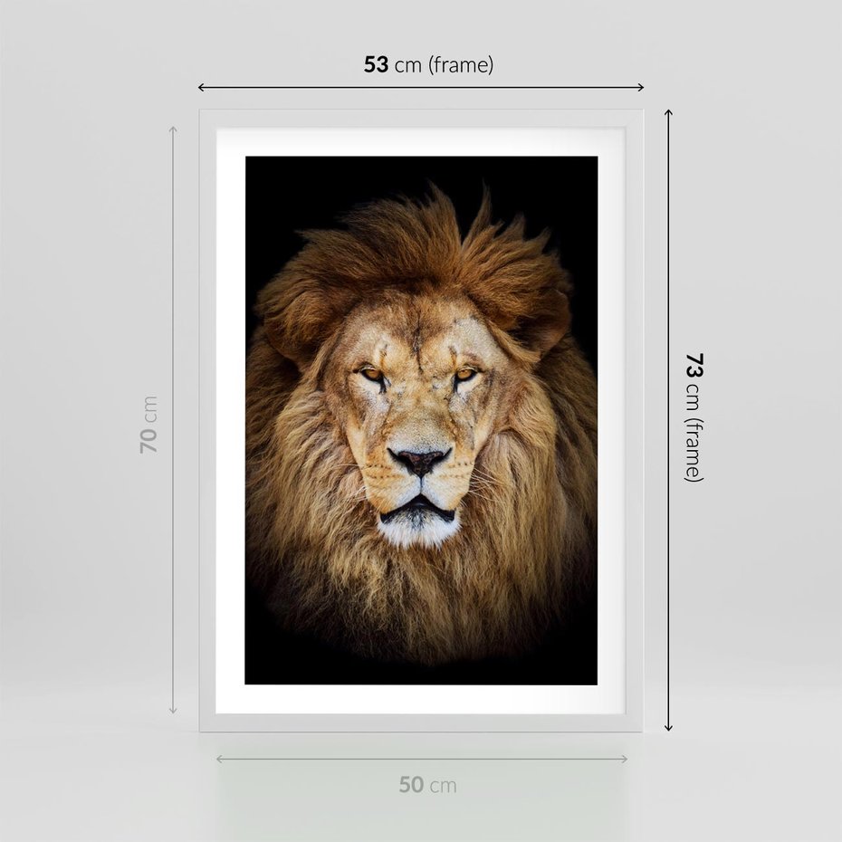 Plakat w ramie 50x70 - Król zwierząt w majestatycznym stylu - lew, król - rama biała