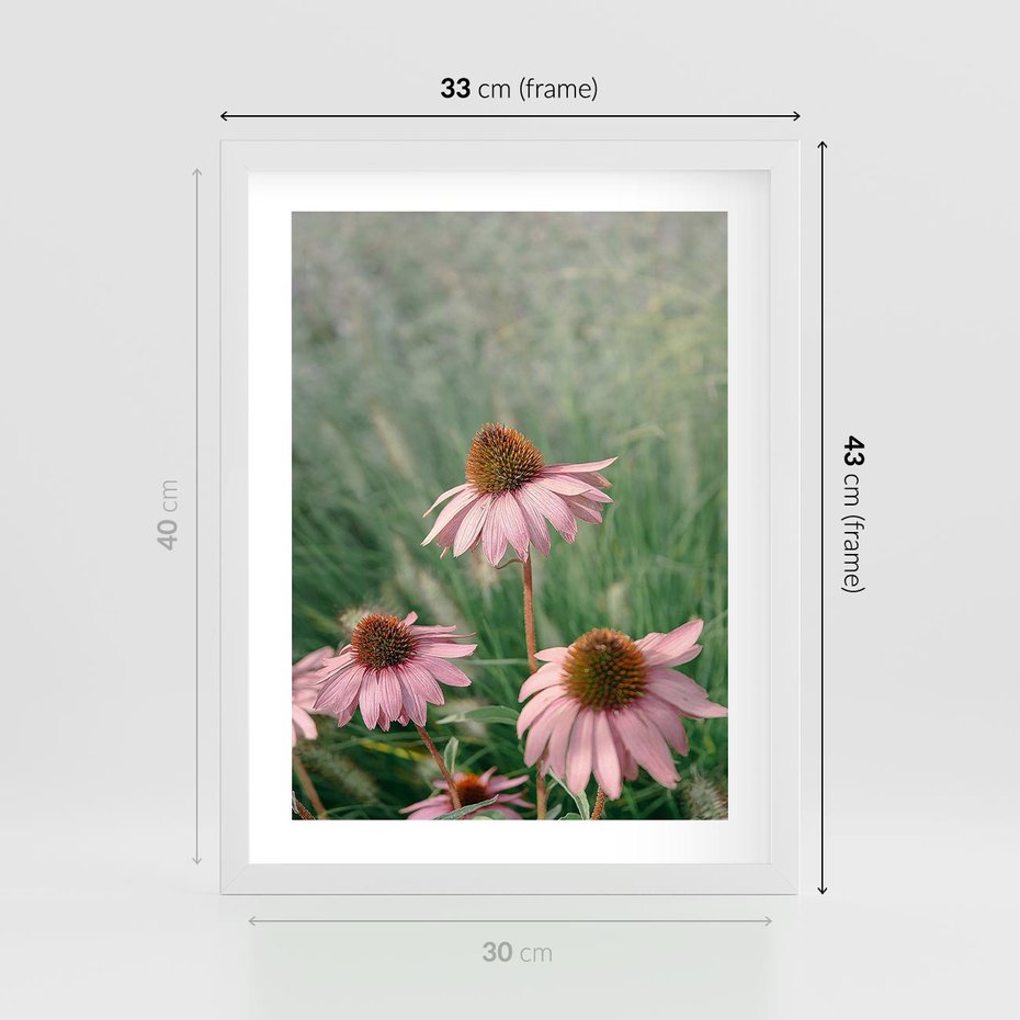 Plakat w ramie 30x40 - Natura w Pełnym Blasku - kwiaty na łące, różowe kwiaty polne - rama biała