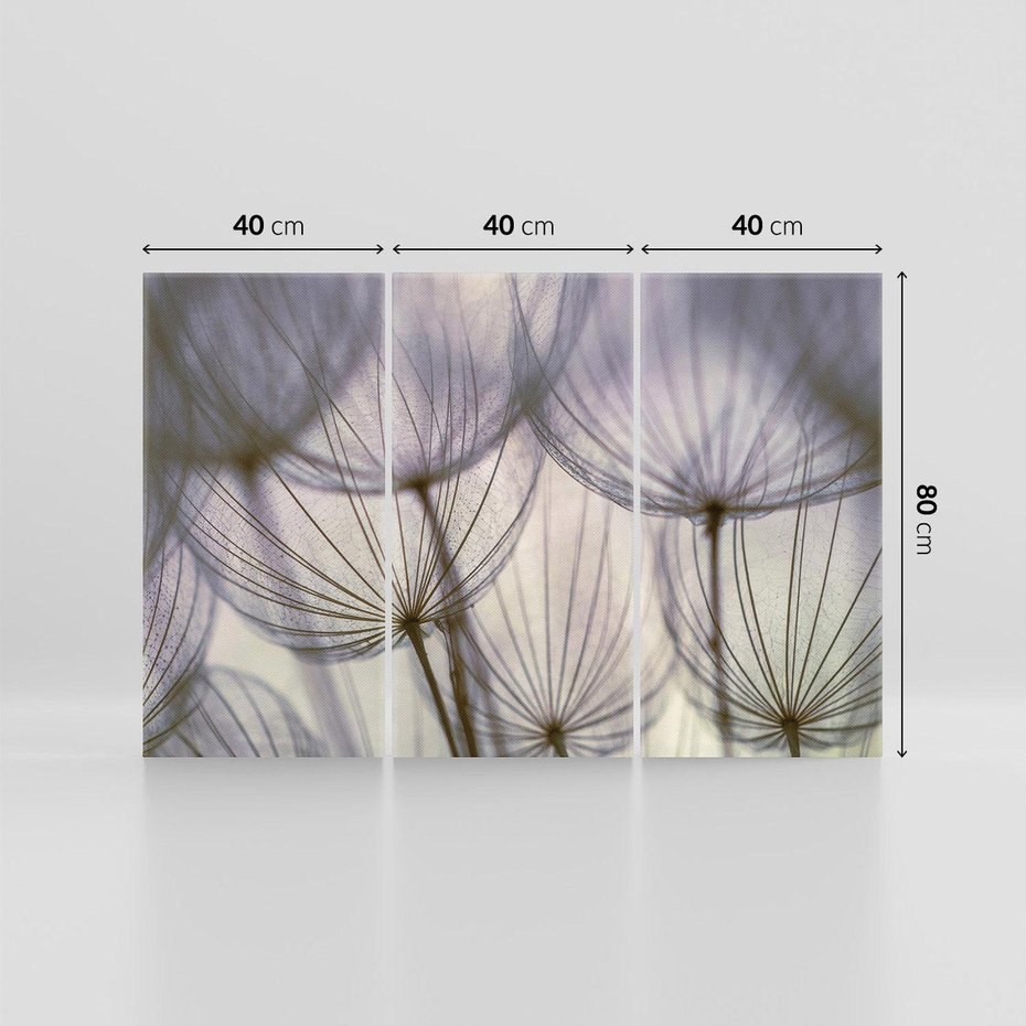 Obraz na płótnie 120x80 - Makro dmuchawiec - piękno drobnych detali - dmuchawce, makro