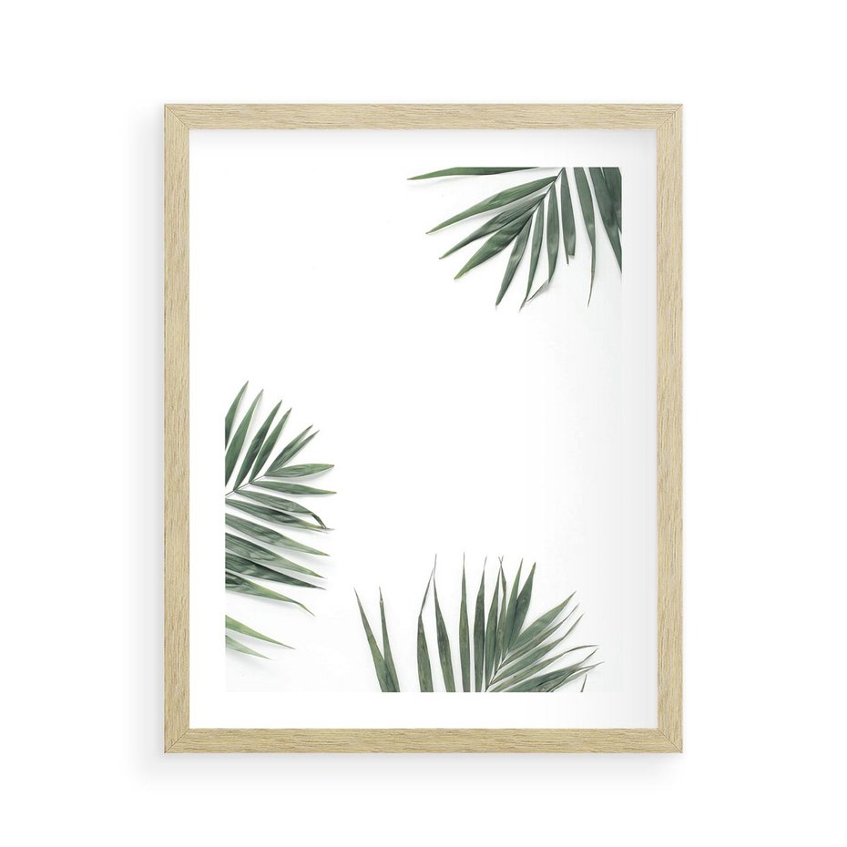 Plakat w ramie 40x50 - Liście Palmy na Czystym Tle - liście palmy, białe tło - rama drewno