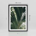 Plakat w ramie 50x70 - Tropikalne Uroki: Palmy i Zielone Liście - palmy, zielone liście - rama czarna
