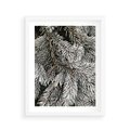 Plakat w ramie 40x50 - Cisza Zimowej Natury - zima, iglaste gałązki - rama biała