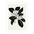 Plakat bez ramy 40x50 - Spojrzenie w kształty kwiatów - kwiaty magnolii, minimalizm
