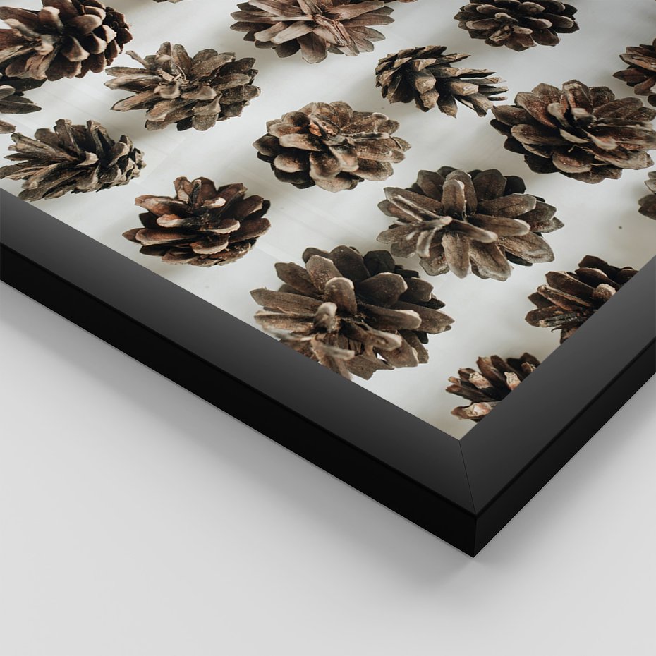 Zestaw obrazy w ramie 40x50 galeria - Zima, szyszki, śnieg - rama czarna