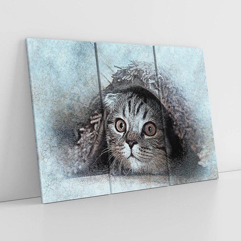 Obraz na płótnie 120x80 - Kot w abstrakcyjnym otoczeniu - kot, sztuka