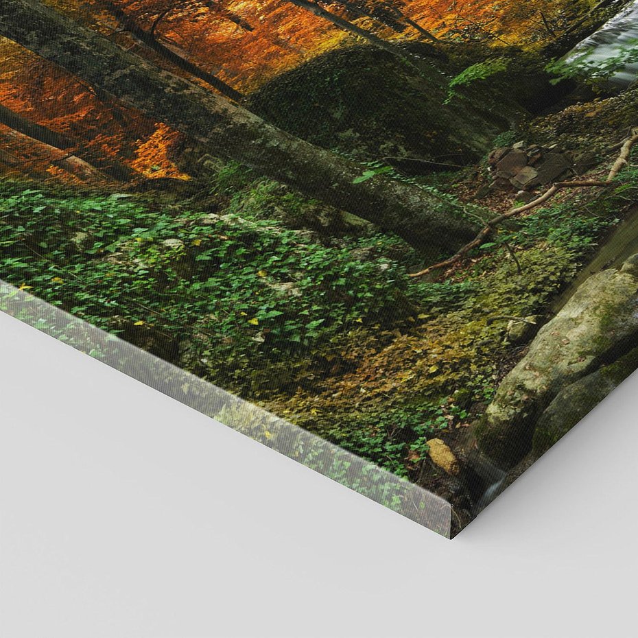 Obraz na płótnie 150x50 - Urok lasu: drzewa i strumyk w harmonii - las, drzewa