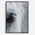 Obraz w ramie 70x100 - Oko Mocy - czarno białe zdjęcie, zbliżenie makro na oko konia - rama czarna
