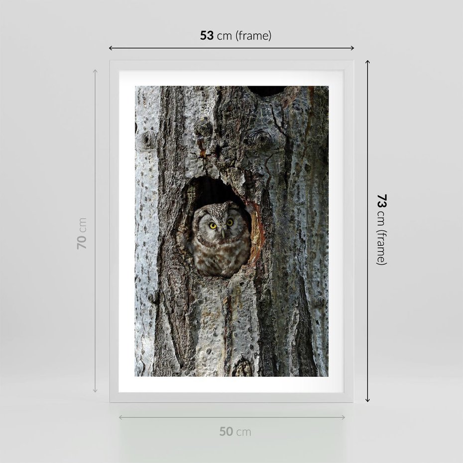 Plakat w ramie 50x70 - Tajemniczy W świecie Nocy - sowa, dziupla - rama biała