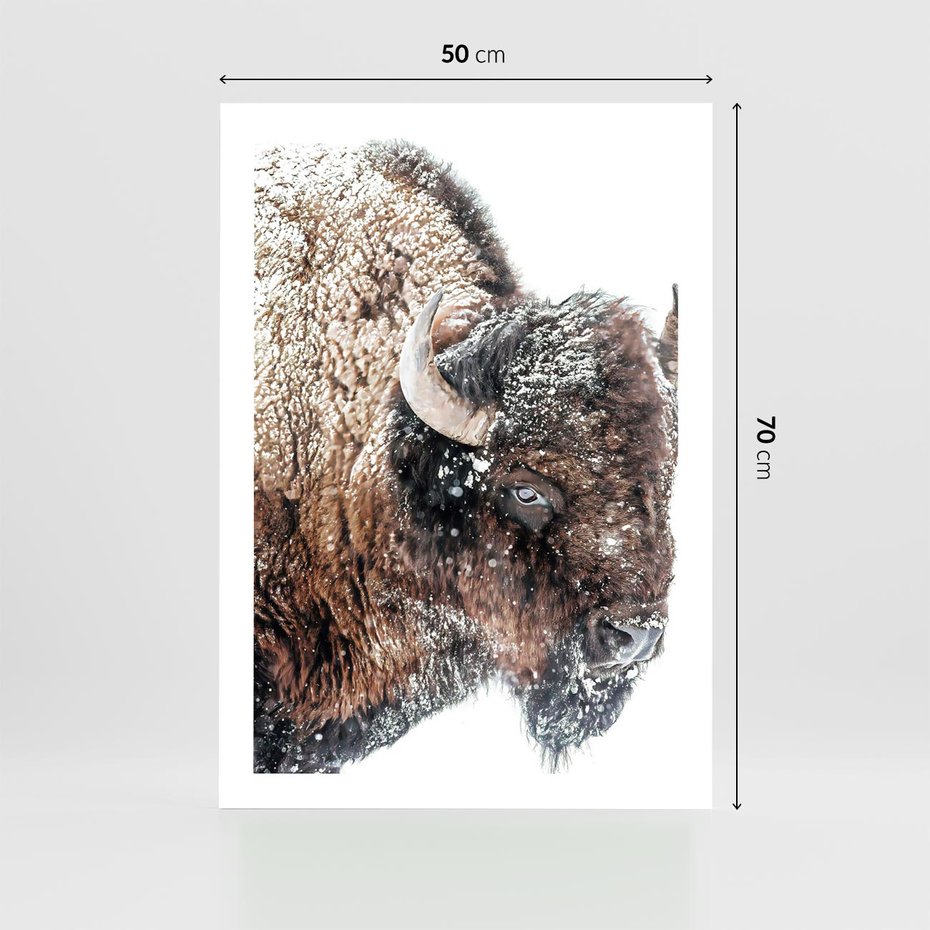 Plakat bez ramy 50x70 - Obraz Dzikiej Przyrody w Śnieżnym Otoczeniu - żubr, śnieg