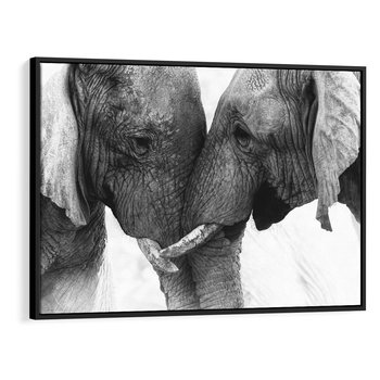 Obraz w ramie 70x50 - Spotkanie Mądrości - fotografia czarno biała, dwa słonie - rama czarna