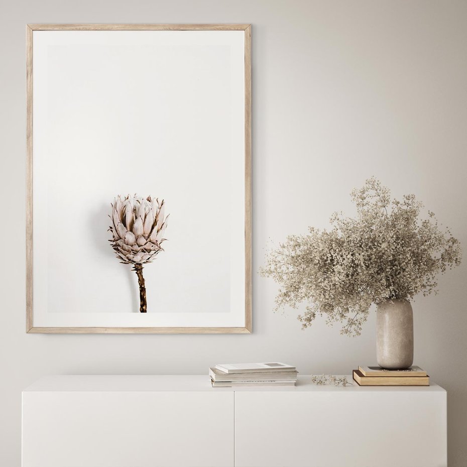 Plakat w ramie 50x70 - Suszona Roślina na Białym Tle - minimalizm, suszona roślina - rama drewno