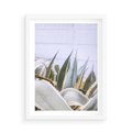 Plakat w ramie 50x70 - Sukulentowe liście - liście, sukulenty - rama biała