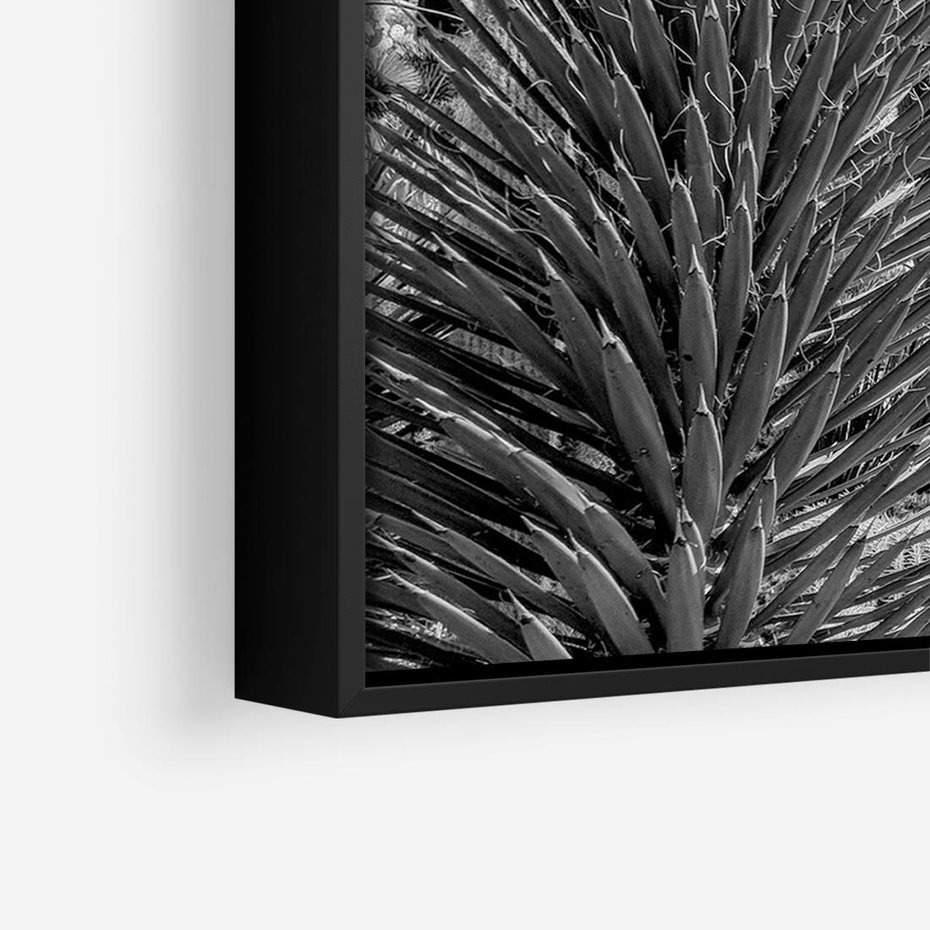 Obraz w ramie 70x50 - Pustynny Klimat - czarno białe zdjecie, pustynia - rama czarna