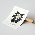 Plakat bez ramy 30x40 - Melancholia przerywanych linii - wiaty, typografia