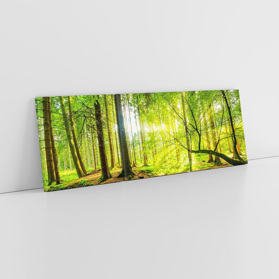 Obraz na płótnie 120x40 - Las w pełnym rozkwicie - las, drzewa