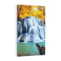 Obraz na płótnie 80x120 - Magia kolorów - jesień, las