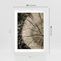 Plakat w ramie 30x40 - Wnętrze Natury - pień, przecięty pień - rama biała