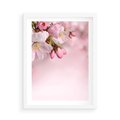 Plakat w ramie 50x70 - Kwitnąca wiśnia: delikatność natury - kwitnąca, wiśnia - rama biała