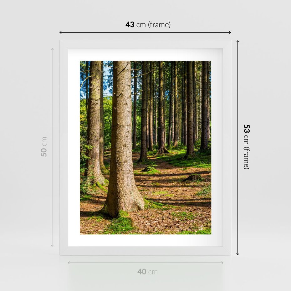 Plakat w ramie 40x50 - Las: harmonia natury - las, drzewa - rama biała