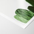 Plakat bez ramy 21x30 - Minimalizm Natury - kaktus, zbliżenie