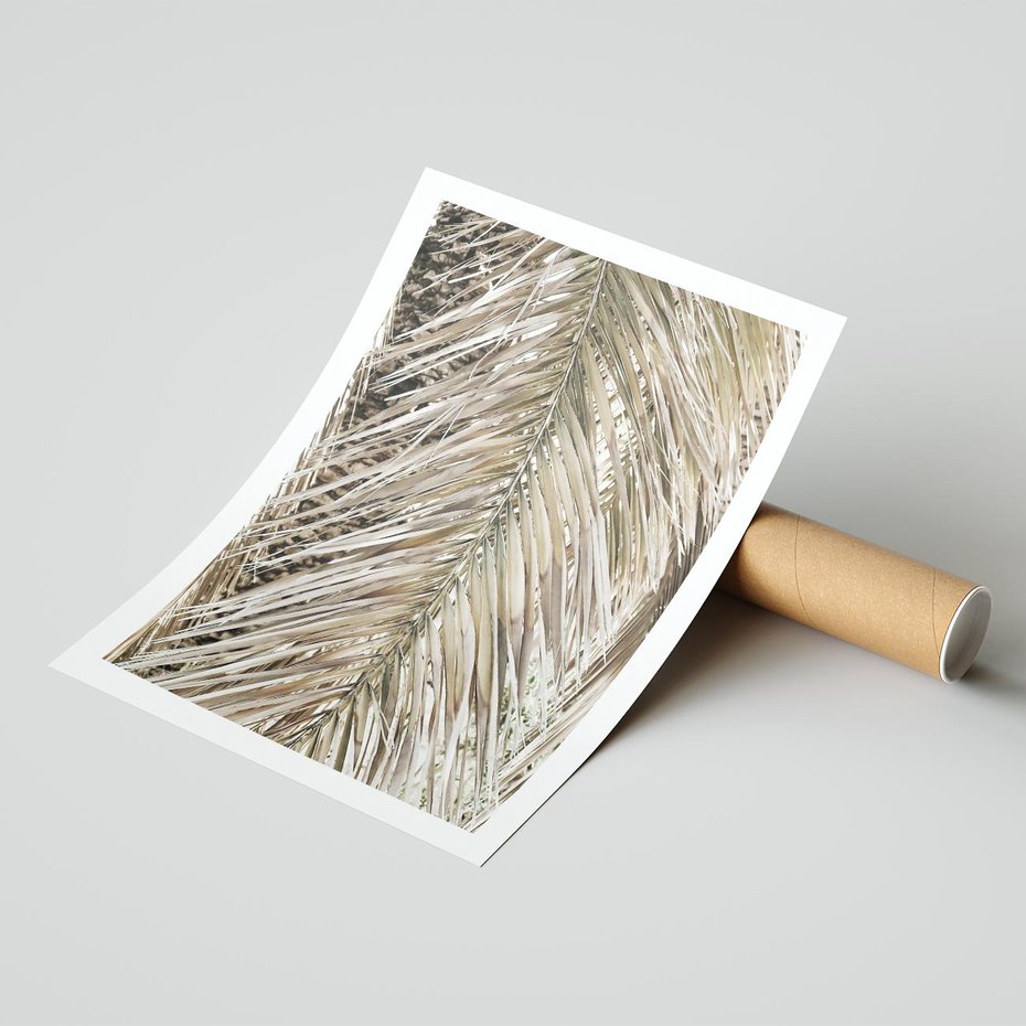 Plakat bez ramy 30x40 - Boho Urok Palmy: Zbliżenie Natury - sucha palma, zbliżenie