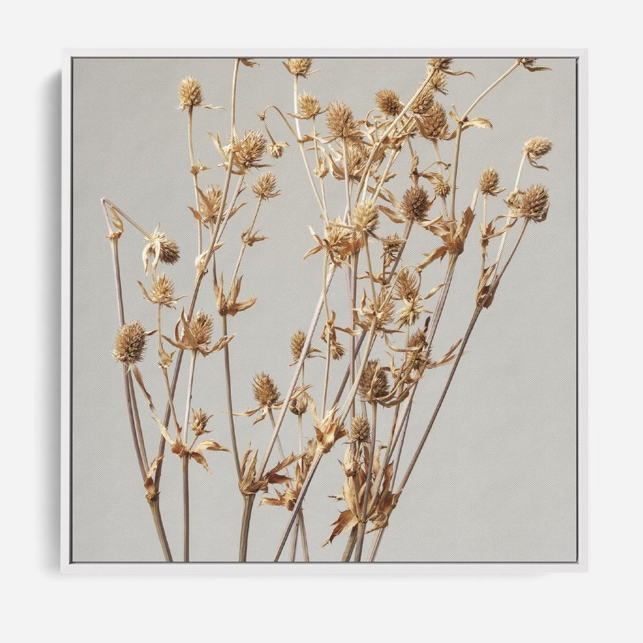 Obraz w ramie 80x80 - Delikatne gipsówki - gipsówka, suche - rama biała