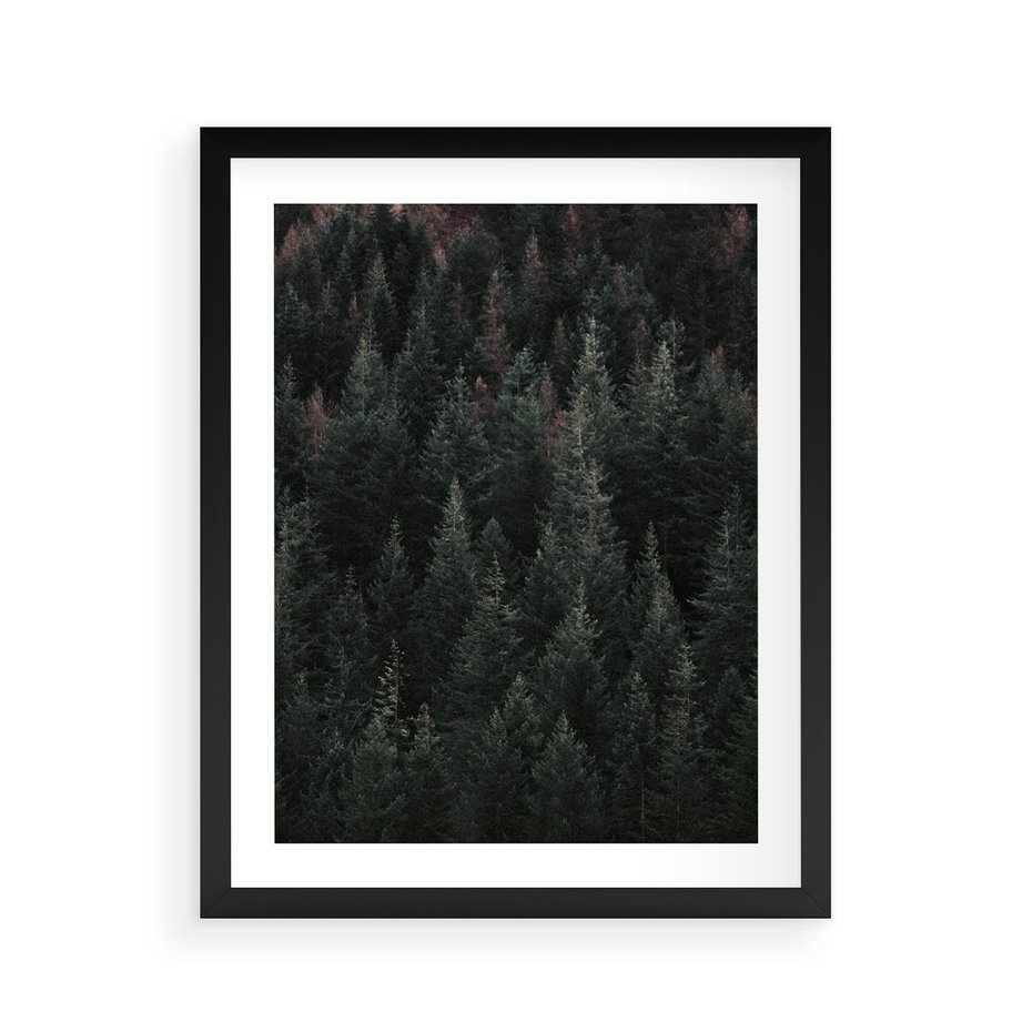 Plakat w ramie 40x50 - Wysoko nad Iglastym Lasem - las, perspektywa - rama czarna