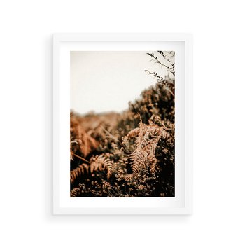 Plakat w ramie 30x40 - Jesienna Harmonia - suche paprocie, jesienny krajobraz - rama biała