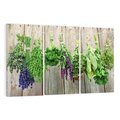 Obraz na płótnie 120x80 - Przyprawy Rośliny Fantazja - przyprawy, rośliny