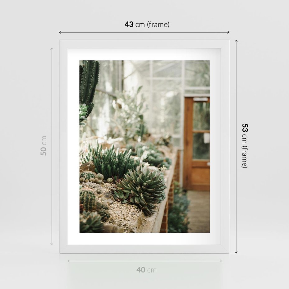Plakat w ramie 40x50 - Sukulenty w Szklarni - sukulenty, w szklarni - rama biała