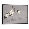 Obraz w ramie 70x50 - Spojrzenie wstecz w pędzlu - szkic rysunek, japońskie żurawie - rama czarna