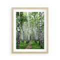 Plakat w ramie 40x50 - Magia lasu pełnego brzóz - las, brzozy - rama drewno