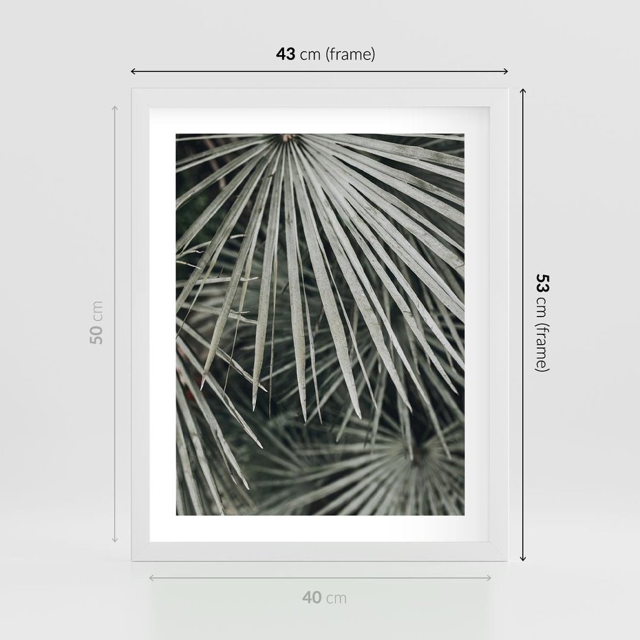 Plakat w ramie 40x50 - Ujęcie Tropikalnej Natury - palmy, liście palmy - rama biała