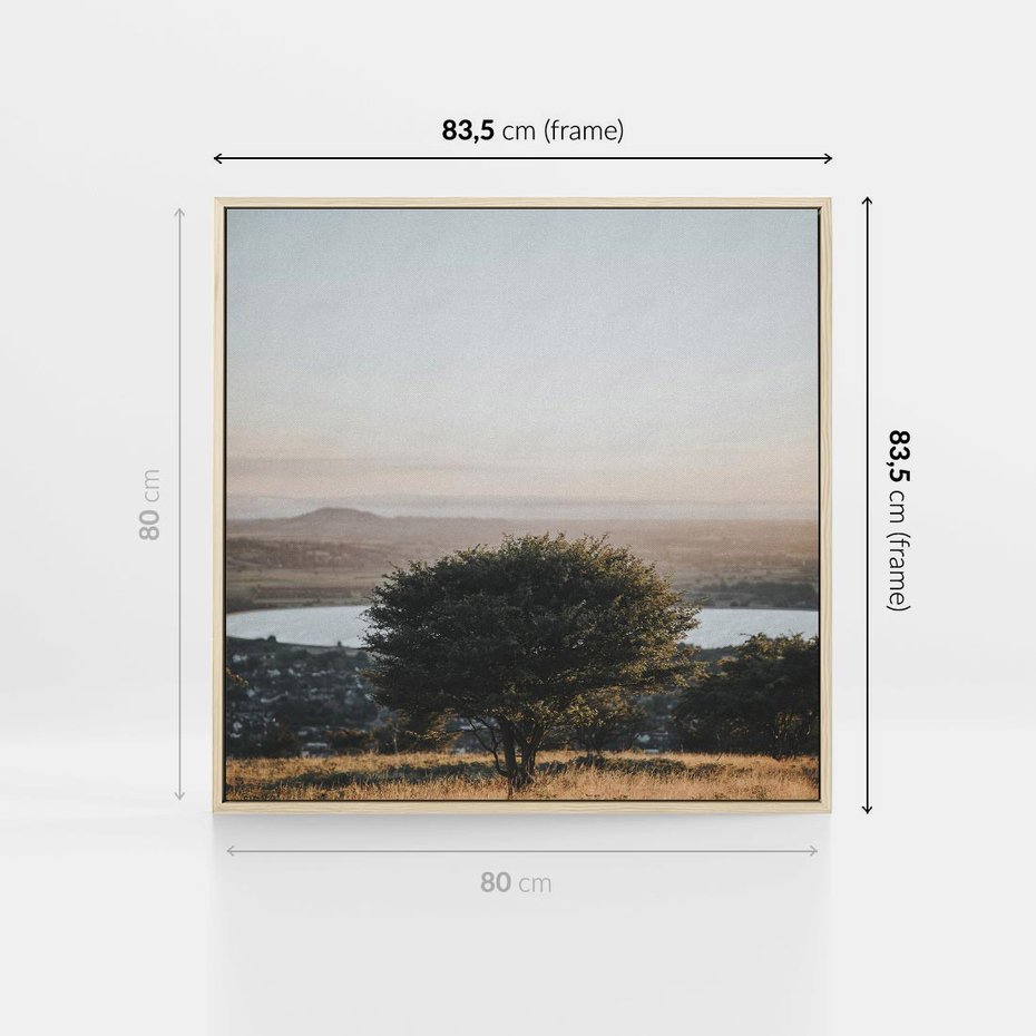 Obraz w ramie 80x80 - Siła Natury - drzewo, pejzaż - rama drewno